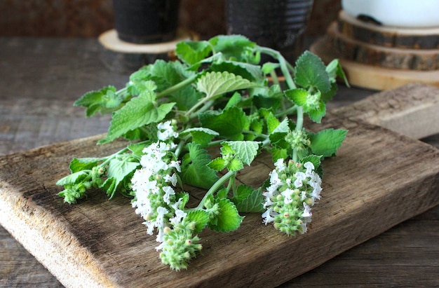 Foto legno di menta verde