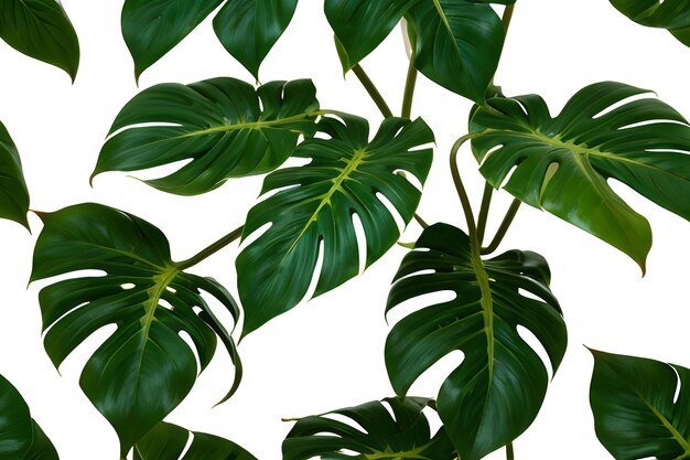 Photo green monstera leaves vintage on seamless background