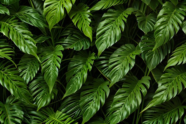 Photo green monstera leaves vintage on seamless background