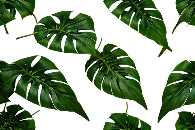 green monstera leaves vintage on seamless background