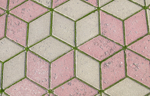 Green moss between paving tiles