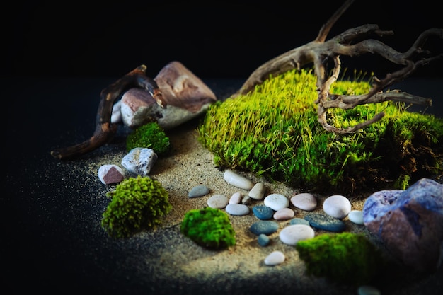 초록색 모스 돌 모래와 검은색 배경에  ⁇ 은 떠다니는 나무 생태적 배경 복사 공간 텍스트 장소