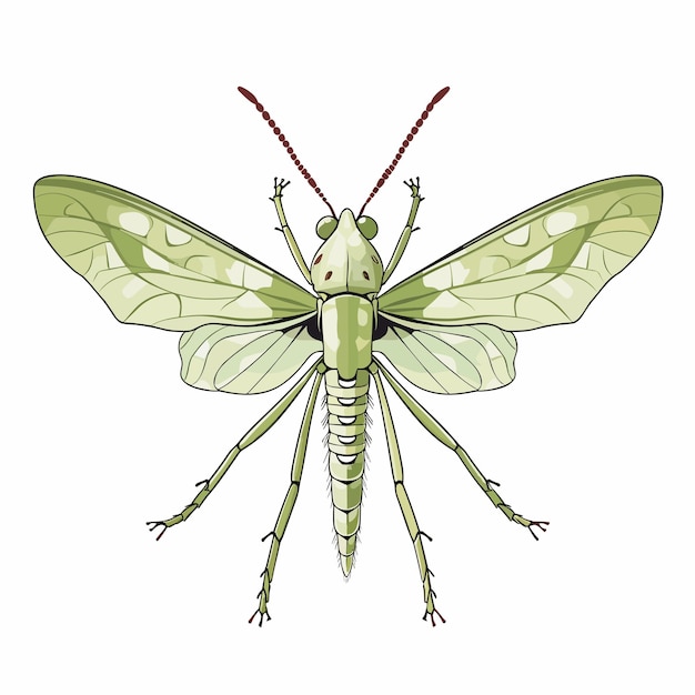 A green moth with a green face and the word " bug " on it.