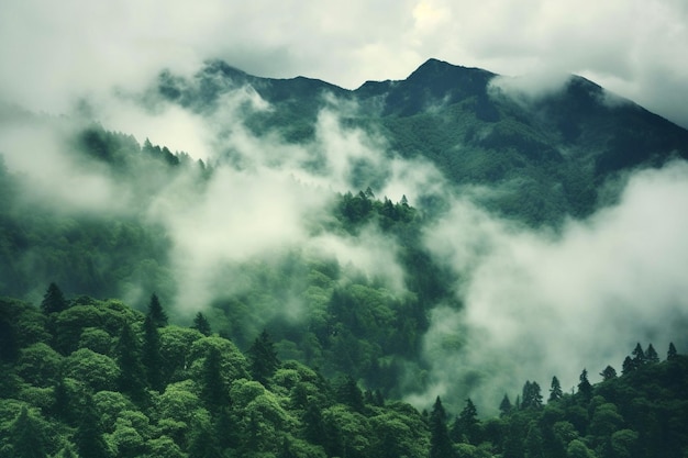 Green mountain clouds