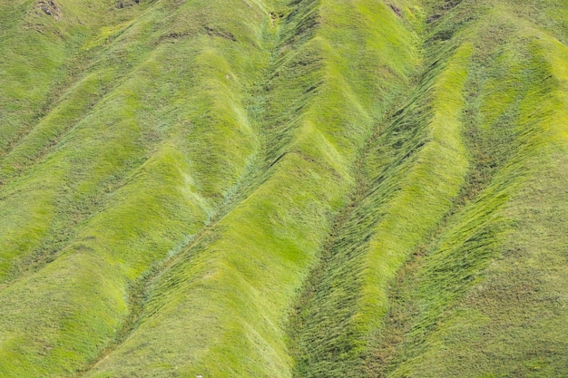 Green mountain landscape and view in Georgia. Close-up of mountain in Truso.