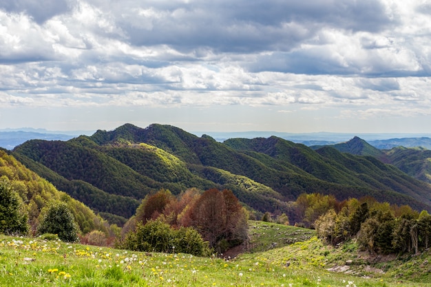 Зеленые горные вершины частично освещаются солнцем в пасмурную погоду. Осенью деревья меняют окраску. Лес и зеленый луг на переднем плане. Пуигсакальм, Каталония, Испания