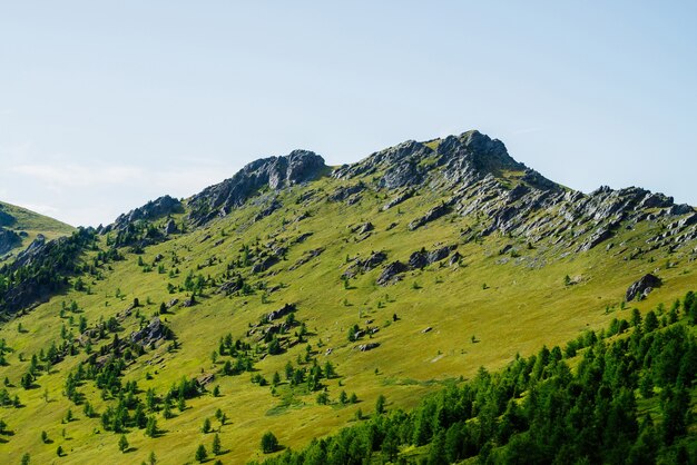 선명한 녹색 산이있는 녹색 산의 경치