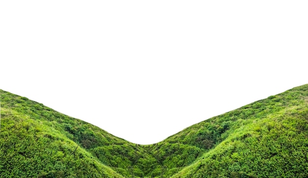 Green mountain slope on background