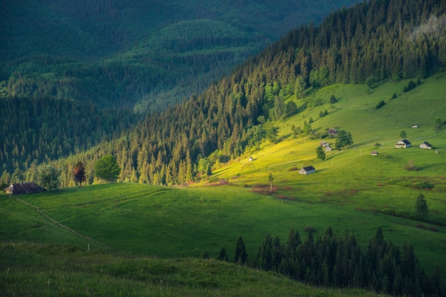 Green mountain valley at sunrise