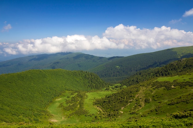 Green mountains panorama under blue sky on bright day.