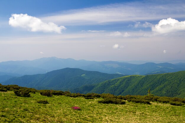 Green mountains panorama under blue sky on bright sunny day. Tourism and traveling concept, copy space .