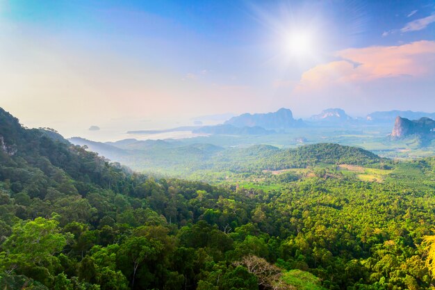 タイの緑の山々