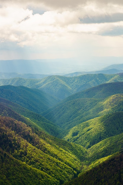 Green mountains