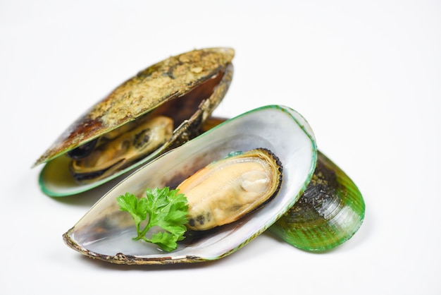 Green mussel shell with parsley
