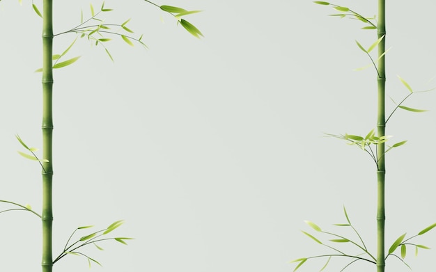 Photo green natural bamboo plant background 3d rendering