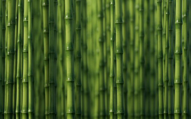 Green natural bamboo plant background 3d rendering