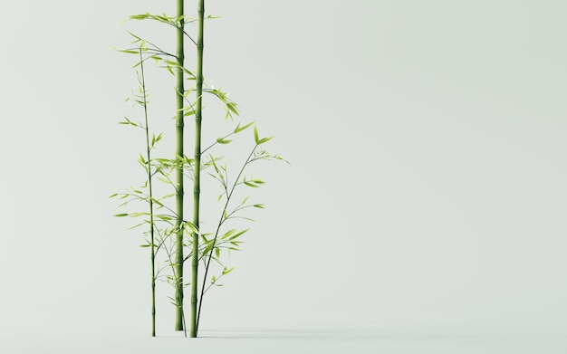 Зеленый природный бамбук на фоне растения 3D рендеринг
