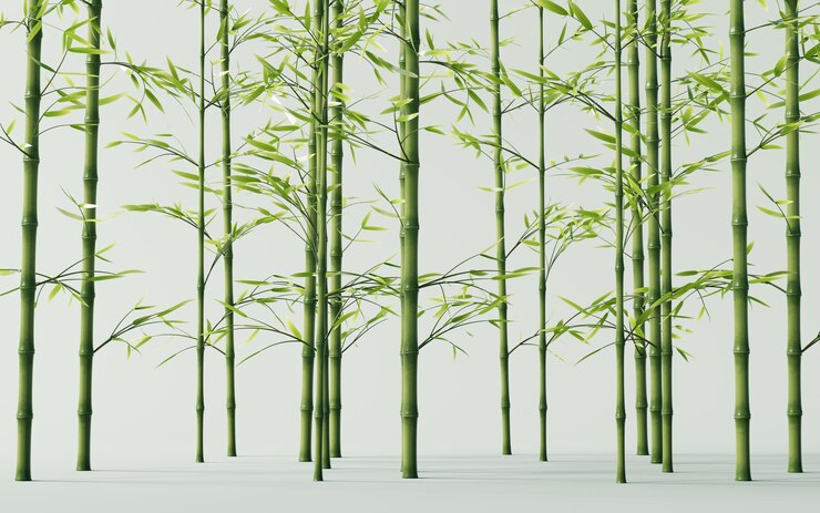 Photo green natural bamboo plant background 3d rendering