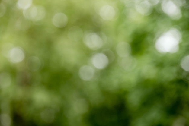 Green natural blurred bokeh background