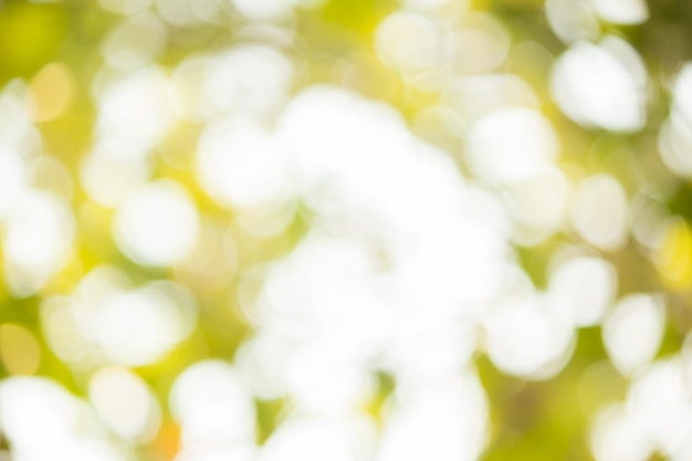 green nature bokeh background