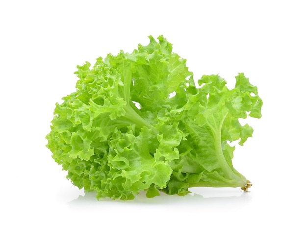 Green oak lettuce isolated on white.