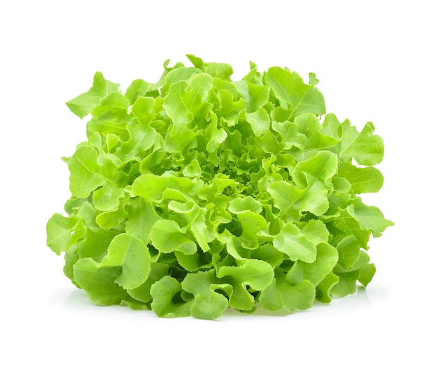 Green oak lettuce isolated on white.