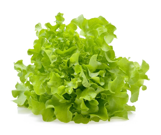 Green oak lettuce leaf on white background