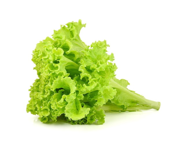 Green oak lettuce on white background