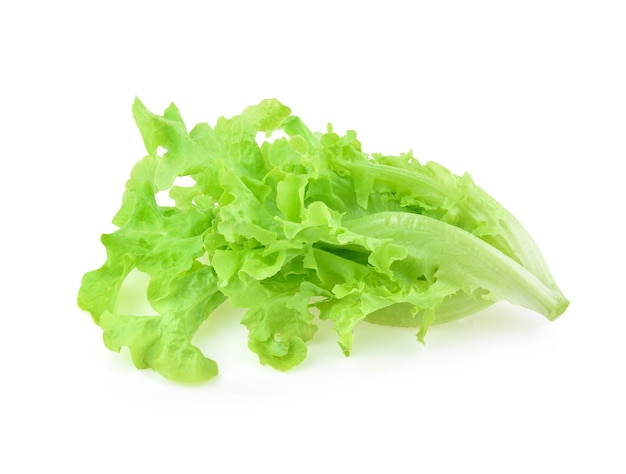 Зеленый дубовый салат на белом фоне