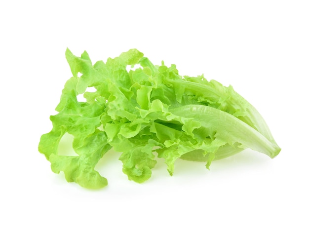 Green oak lettuce on white background