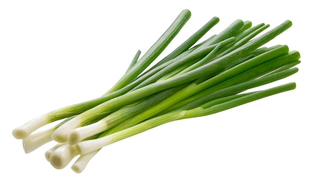 Green onion, fresh chives isolated on white background with clipping path