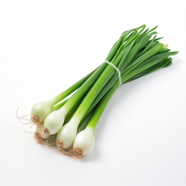 Green onion or garlic chives chinese chive isolated on white background