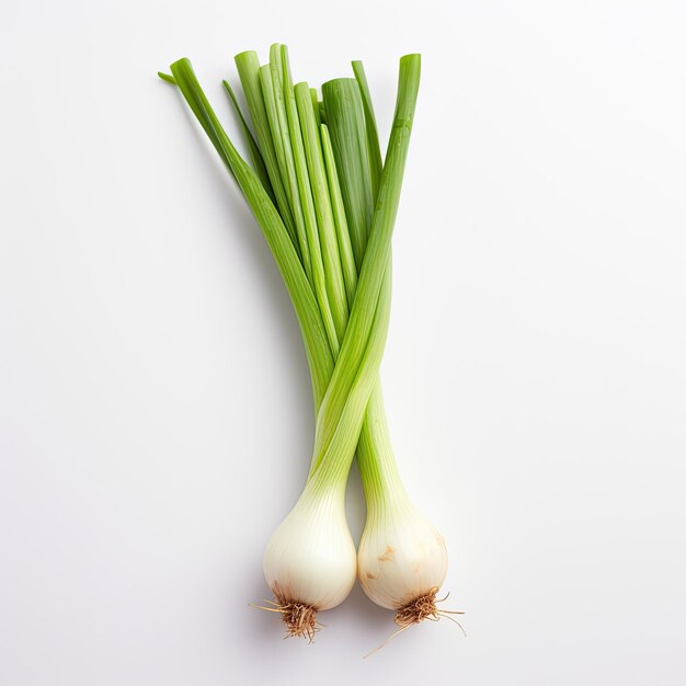 Green onion or garlic chives chinese chive isolated on white background