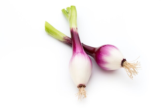 Green onion isolated on the white background.