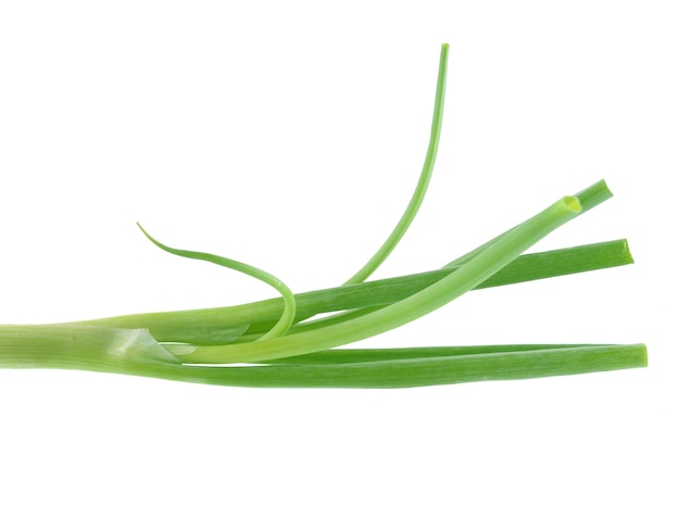 Green onion isolated on the white background