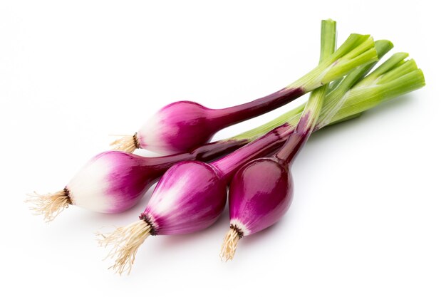 Green onion isolated on the white surface.