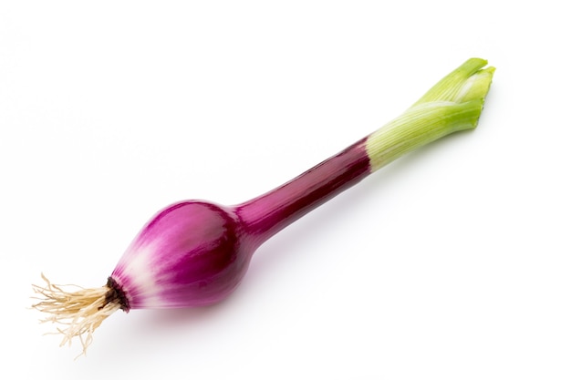 Green onion isolated on the withe background.