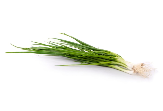 Green onion isolated