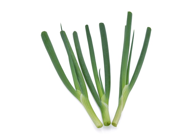 Photo green onion isolated