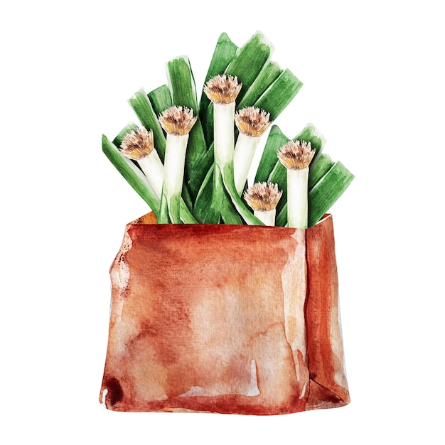 Green onion in a paper bag watercolor illustration