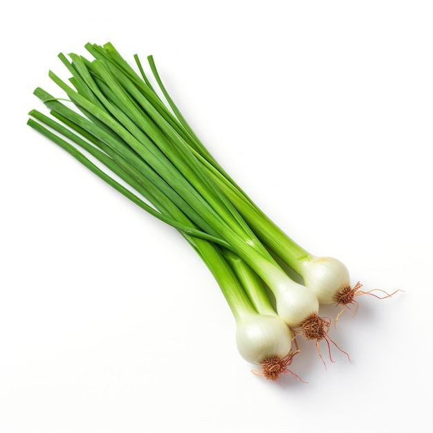 Green onion vegetables isolated on white background