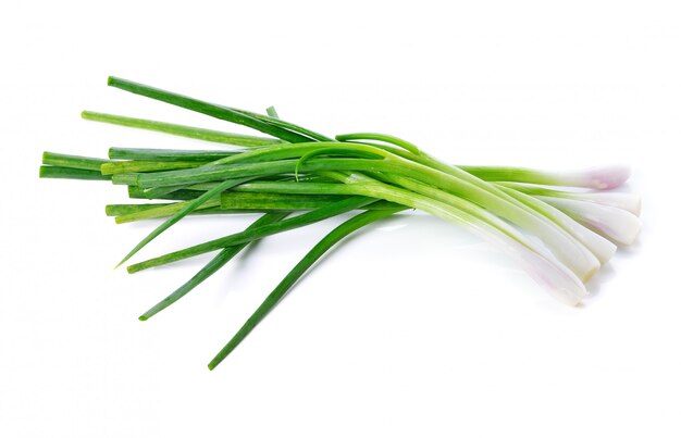 Green onion on white background