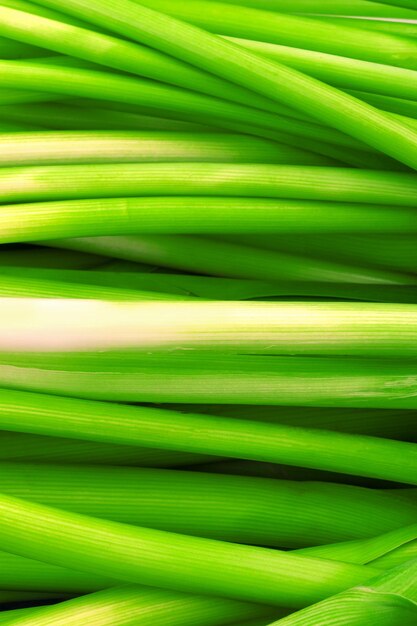 Green onions background