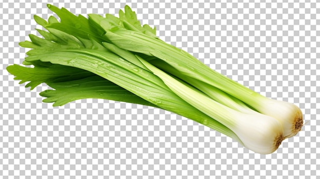 green onions isolated on transparent background