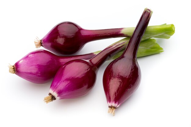 Green onions isolated on white