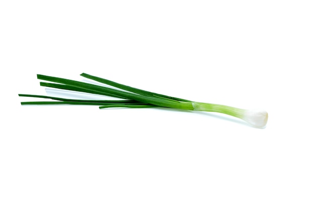 Green onions isolated on white