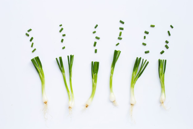 Green onions isolated on white