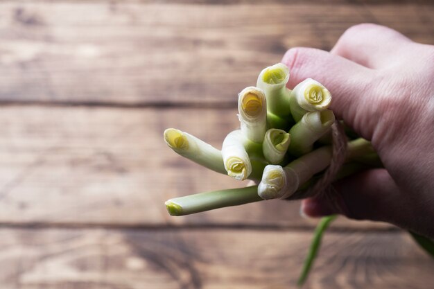 Green onions or shallots on a wooden