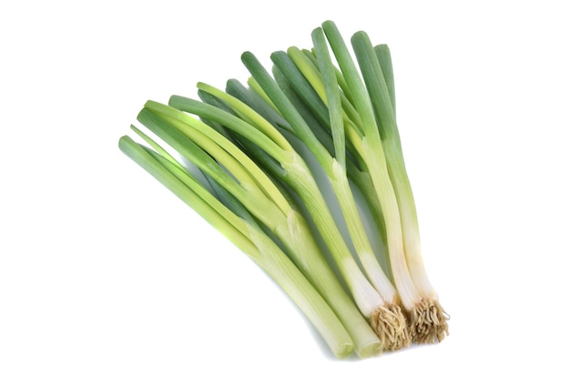 Green onions sometimes called shallots or scallions isolated on white