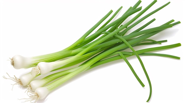 Green onions sometimes called shallots or scallions